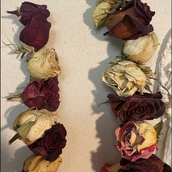 Dried 🥀 Roses - Picture 6 of 9